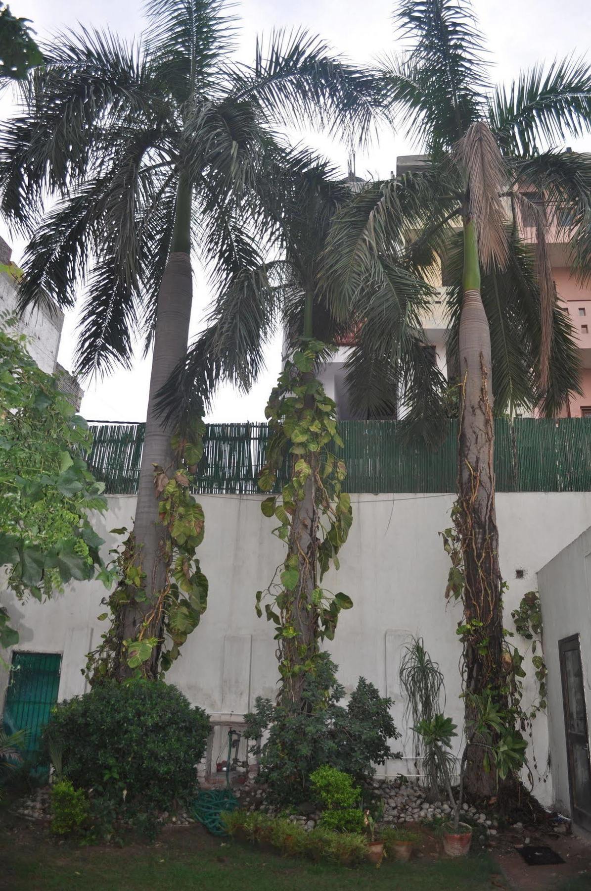 Hotel Kabli New Delhi Ngoại thất bức ảnh